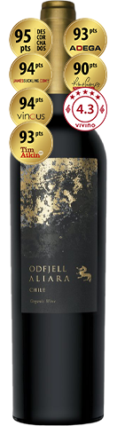 Odfjell Aliara  2018